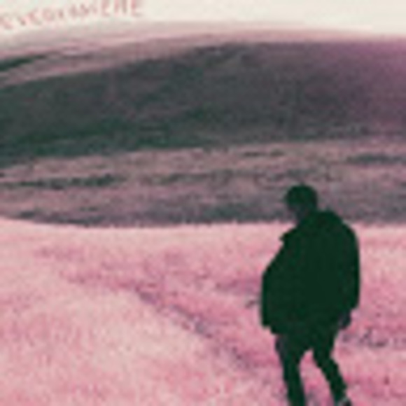 Meet your Posher, Valor - Picture 1 of 1